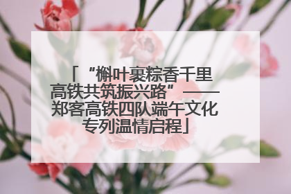 “槲叶裹粽香千里 高铁共筑振兴路”——郑客高铁四队端午文化专列温情启程