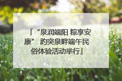 “泉润端阳 粽享安康” 趵突泉畔端午民俗体验活动举行