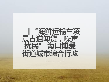 “海鲜运输车凌晨占道卸货，噪声扰民” 海口博爱街道城市综合行政执法中队：将联合交警加强长堤路一带巡逻