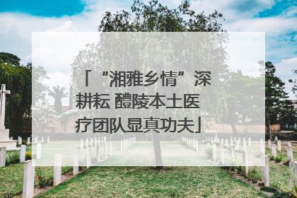 “湘雅乡情”深耕耘 醴陵本土医疗团队显真功夫
