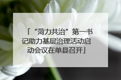 “菏力共治”第一书记助力基层治理活动启动会议在单县召开