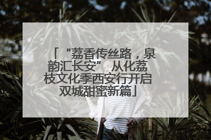 “荔香传丝路，泉韵汇长安” 从化荔枝文化季西安行开启双城甜蜜新篇
