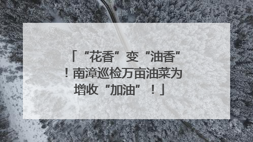 “花香”变“油香”！南漳巡检万亩油菜为增收“加油”！