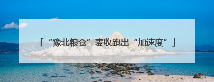 “豫北粮仓”麦收跑出“加速度”