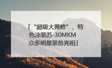 “超级大黄蜂”、特色涂装苏-30MKM 众多明星装备亮相