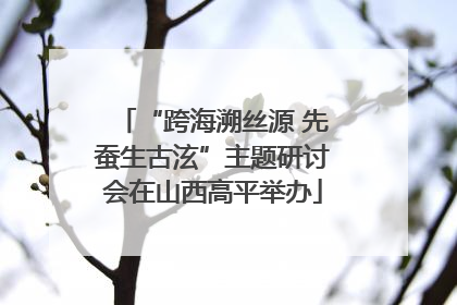 “跨海溯丝源 先蚕生古泫”主题研讨会在山西高平举办