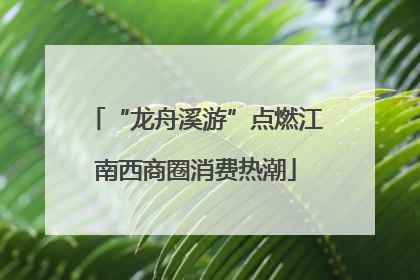 “龙舟溪游”点燃江南西商圈消费热潮