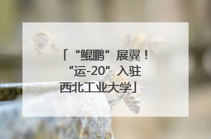 “鲲鹏”展翼！“运-20”入驻西北工业大学