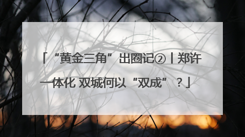 “黄金三角”出圈记②丨郑许一体化 双城何以“双成”？