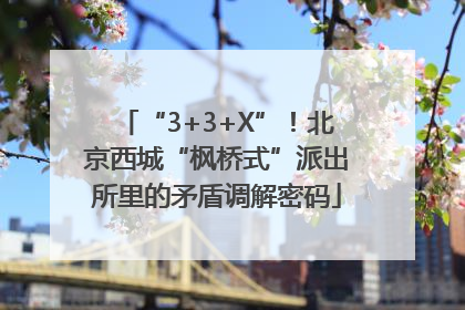 “3+3+X”！北京西城“枫桥式”派出所里的矛盾调解密码