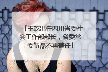王乾出任四川省委社会工作部部长，省委常委靳磊不再兼任