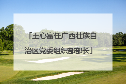王心富任广西壮族自治区党委组织部部长