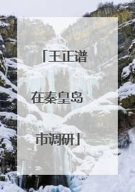 王正谱在秦皇岛市调研