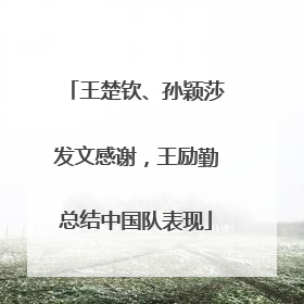 王楚钦、孙颖莎发文感谢，王励勤总结中国队表现