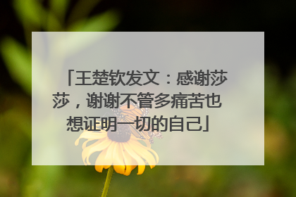 王楚钦发文：感谢莎莎，谢谢不管多痛苦也想证明一切的自己