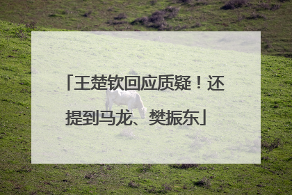 王楚钦回应质疑！还提到马龙、樊振东