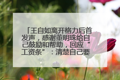 王自如离开格力后首发声，感谢董明珠给自己鼓励和帮助，回应“工资条”：清楚自己要什么，工资条不重要