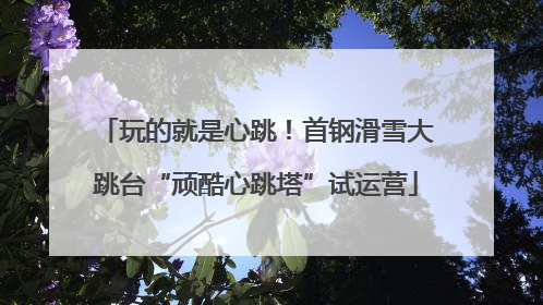 玩的就是心跳！首钢滑雪大跳台“顽酷心跳塔”试运营