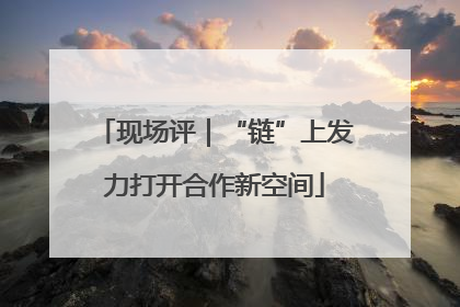 现场评｜“链”上发力打开合作新空间