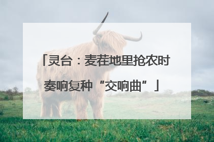 灵台：麦茬地里抢农时 奏响复种“交响曲”