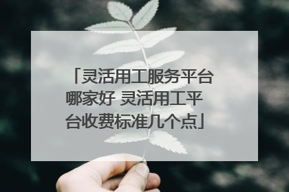 灵活用工服务平台哪家好 灵活用工平台收费标准几个点
