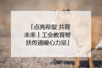 点亮希望 共育未来丨工会教育帮扶传递暖心力量