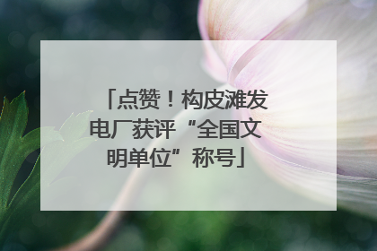 点赞！构皮滩发电厂获评“全国文明单位”称号