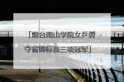 烟台南山学院女乒勇夺省锦标赛三项冠军