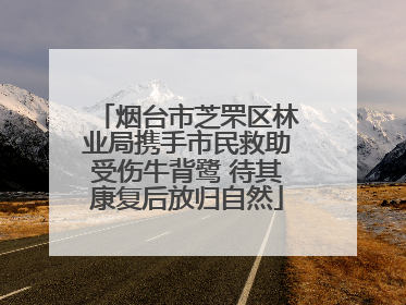 烟台市芝罘区林业局携手市民救助受伤牛背鹭 待其康复后放归自然