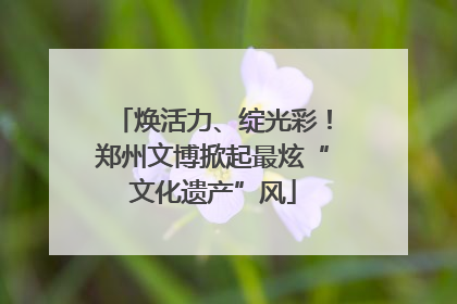 焕活力、绽光彩！郑州文博掀起最炫“文化遗产”风