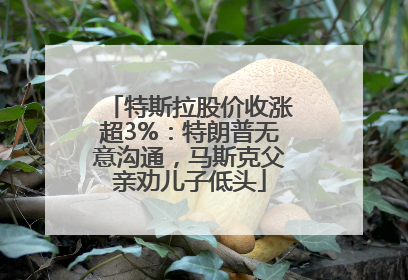 特斯拉股价收涨超3%：特朗普无意沟通，马斯克父亲劝儿子低头