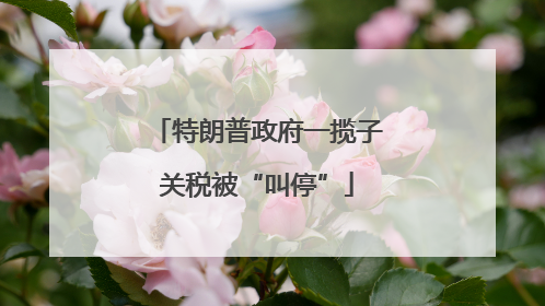 特朗普政府一揽子关税被“叫停”