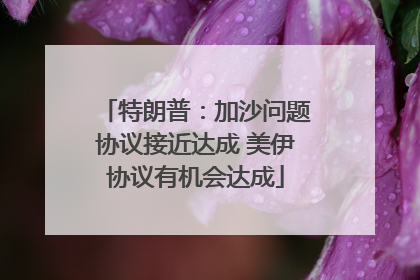 特朗普：加沙问题协议接近达成 美伊协议有机会达成