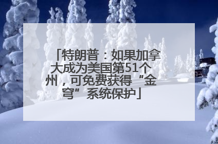 特朗普：如果加拿大成为美国第51个州，可免费获得“金穹”系统保护