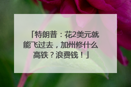 特朗普：花2美元就能飞过去，加州修什么高铁？浪费钱！