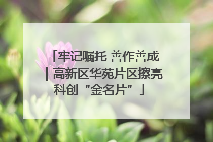 牢记嘱托 善作善成｜高新区华苑片区擦亮科创“金名片”