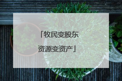 牧民变股东 资源变资产