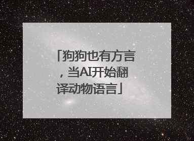 狗狗也有方言，当AI开始翻译动物语言