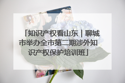 知识产权看山东｜聊城市举办全市第二期涉外知识产权保护培训班