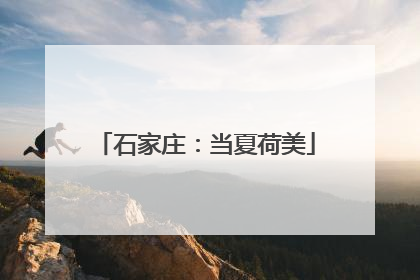 石家庄：当夏荷美
