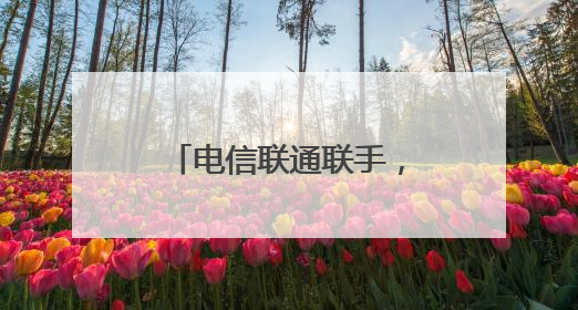电信联通联手，武汉实现4/5G全频段一张网