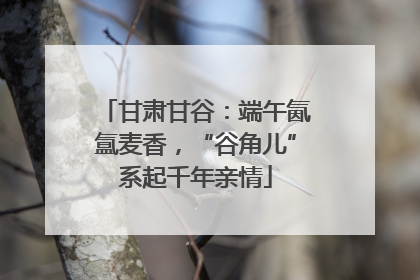 甘肃甘谷：端午氤氲麦香，“谷角儿”系起千年亲情