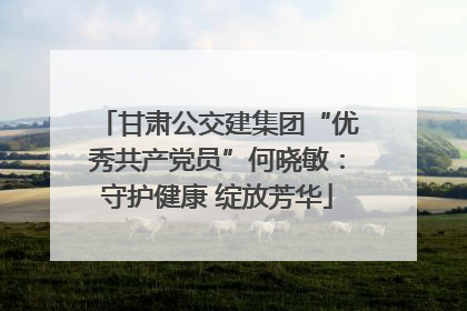 甘肃公交建集团“优秀共产党员”何晓敏：守护健康 绽放芳华