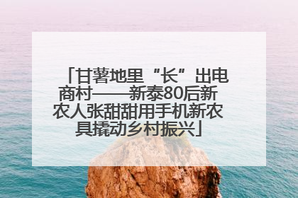 甘薯地里“长”出电商村——新泰80后新农人张甜甜用手机新农具撬动乡村振兴