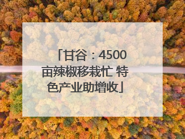 甘谷：4500亩辣椒移栽忙 特色产业助增收