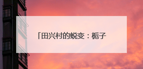 田兴村的蜕变：栀子花田的杨梅熟啦 采摘节让乡村热闹起来