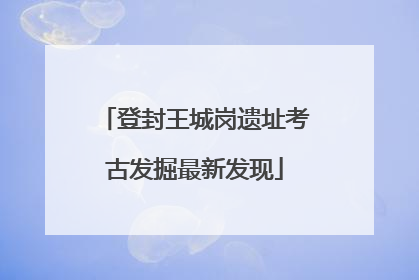 登封王城岗遗址考古发掘最新发现