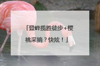 登峰揽胜徒步+樱桃采摘？快炫！