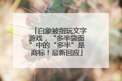 白象被指玩文字游戏，“多半袋面”中的“多半”是商标！最新回应