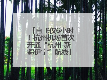 直飞仅6小时！杭州机场首次开通“杭州-新疆伊宁”航线